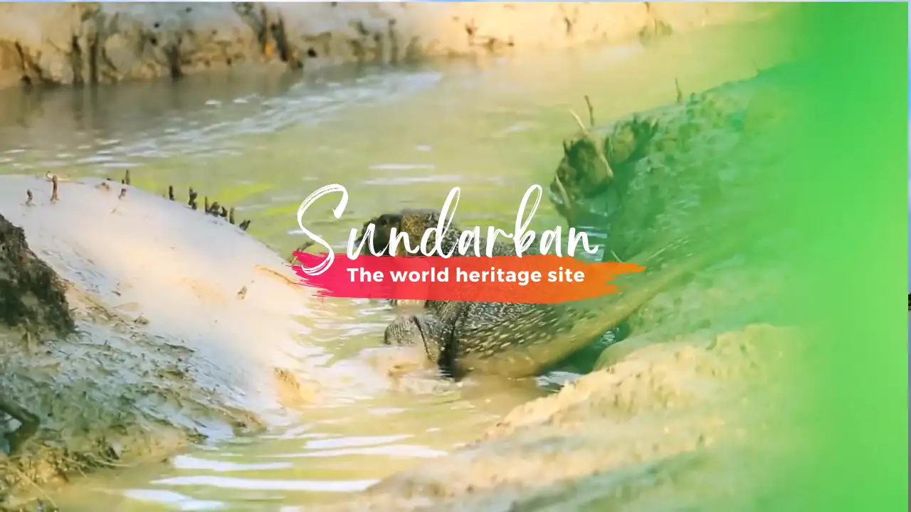 Book my Sundarban Trip Slider 2