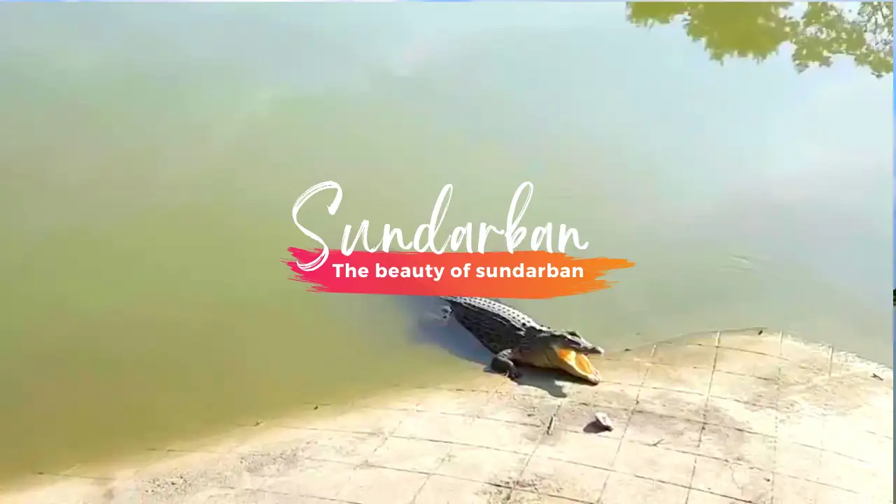 Book my Sundarban Trip Slider 3